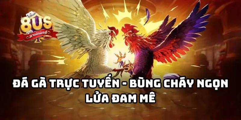 8US - Cổng Game Bài Đổi Thưởng 8US Uy Tín Hàng Đầu Châu Á Đá gà trực tuyến - Bùng cháy ngọn lửa đam mê